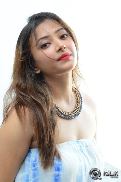 Shweta-Basu-Prasad-at-Intelligent-Idiots-Movie-Press-Meet